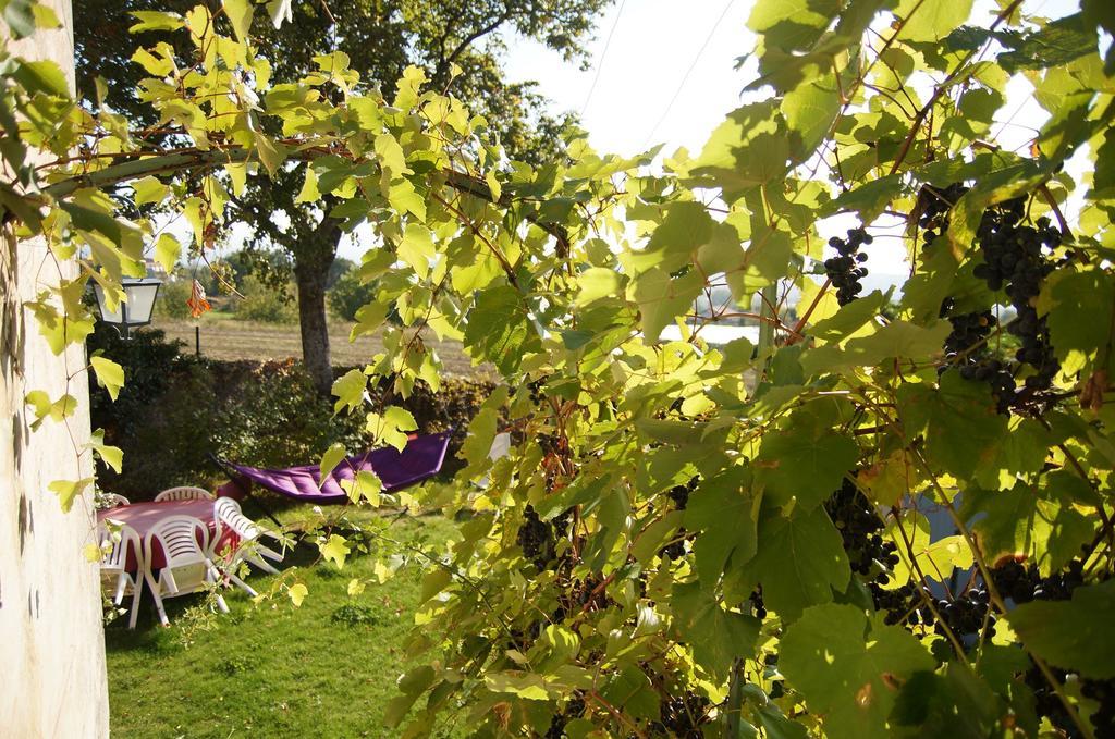 Le Grand Noe Bed & Breakfast Roisey Bagian luar foto